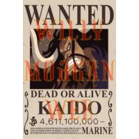 One Piece Kaido One Piece Kaido